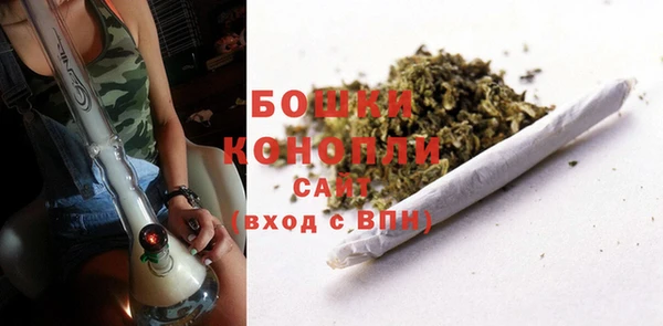 молекула духа Инта