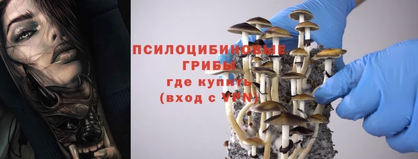 молекула духа Инта