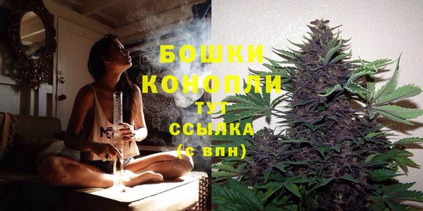 молекула духа Инта