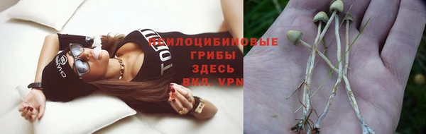 a pvp Иннополис