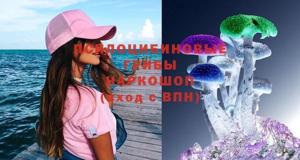соль курить ск Инсар