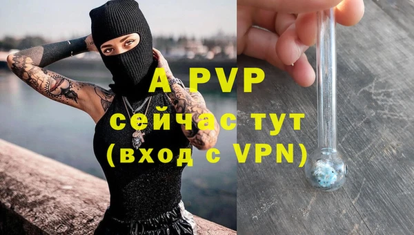 молекула духа Инта