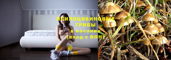 молекула духа Инта