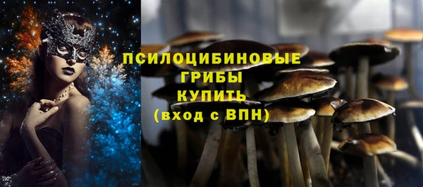 соль курить ск Инсар
