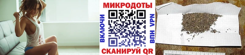 Галлюциногенные грибы Psilocybine cubensis Мещовск